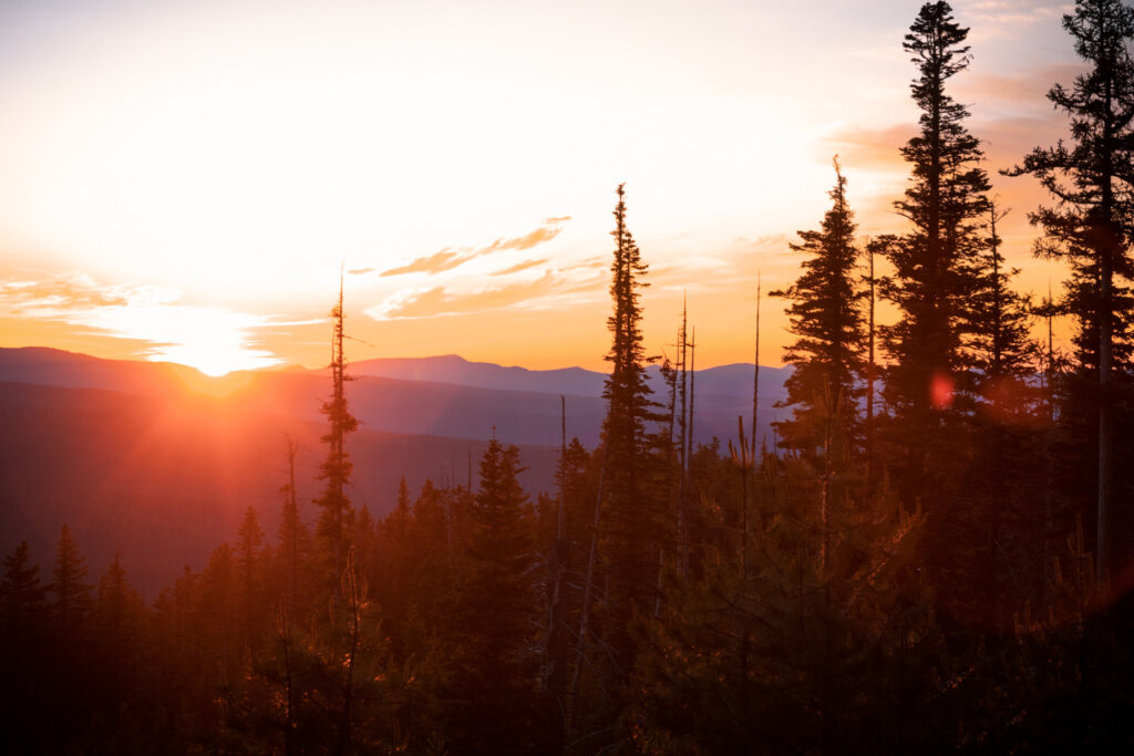 Trees at sunset with mountains in the background