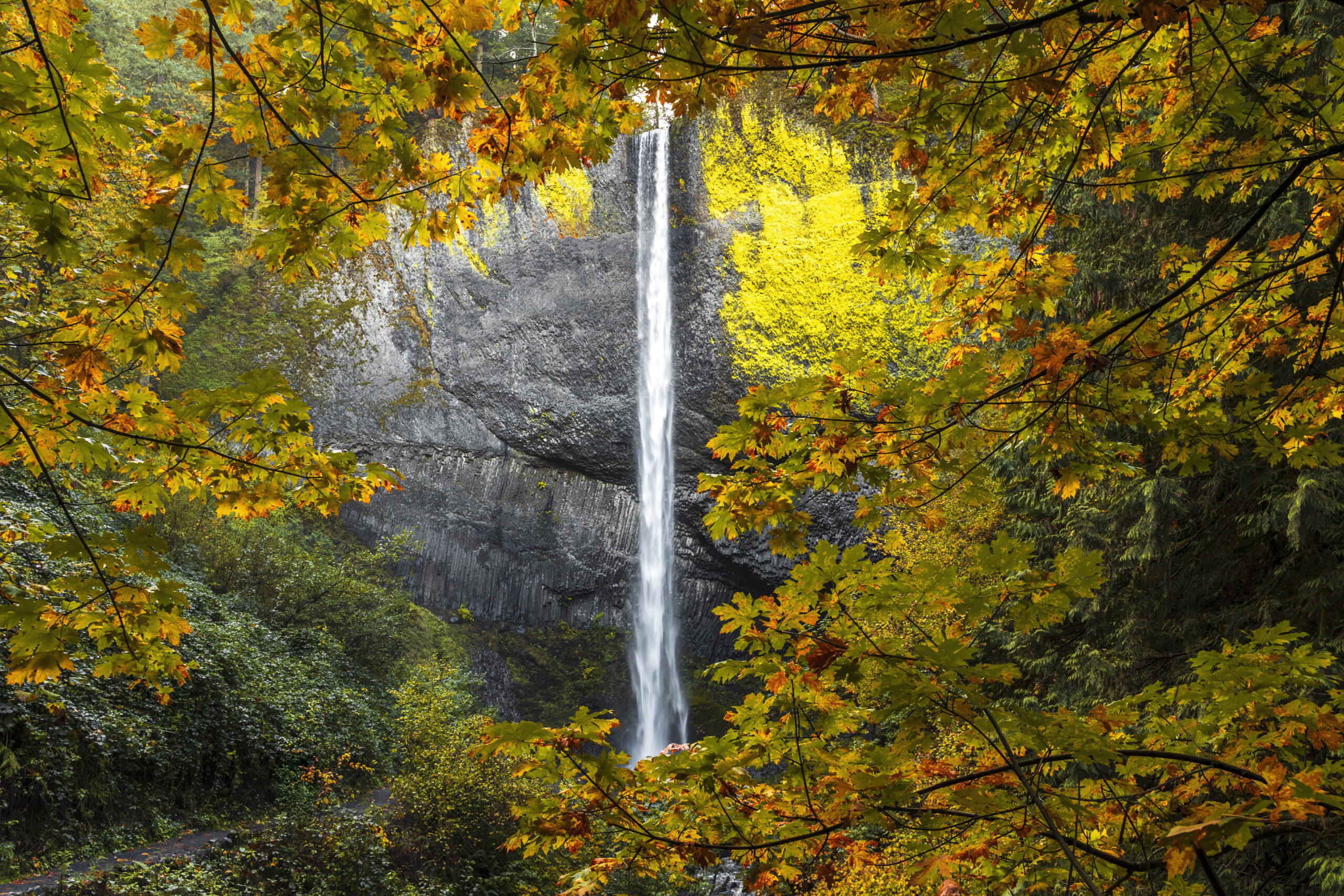 Waterfall Mount Hood